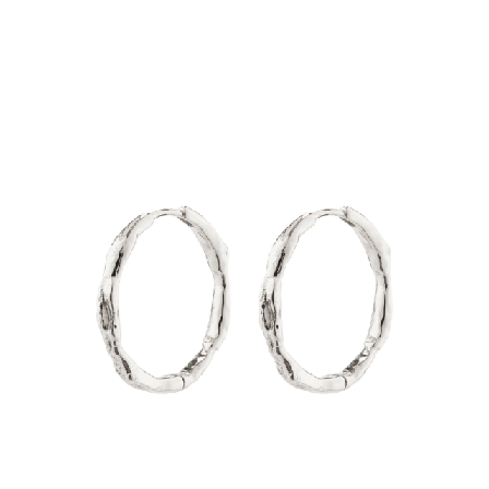 Pilgrim Eddy Earrings Smycken & klockor Dam Silver ONESIZE