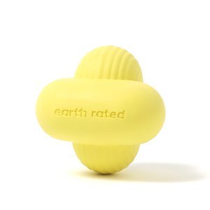 Earth Rated Fetch Toy - Rubber