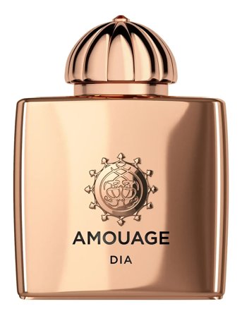 Amouage Amouage Dia Woman Edp 100 Ml - Nude - 100 ML