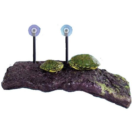 Turtle Dock (Medium)