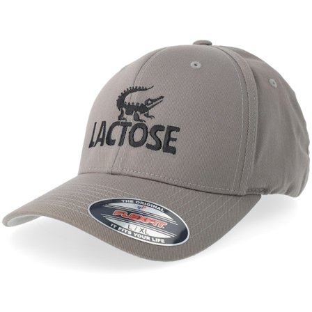 Iconic - Gris flexfit Casquette - Lactose Crocodile Grey Flexfit @ Hatstore