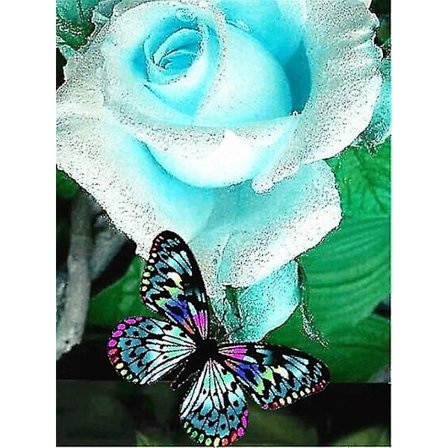 Muzxr - DIY Butterfly Rhinestones Billeder Fuld Display Diamant Maleri Diamant HZP