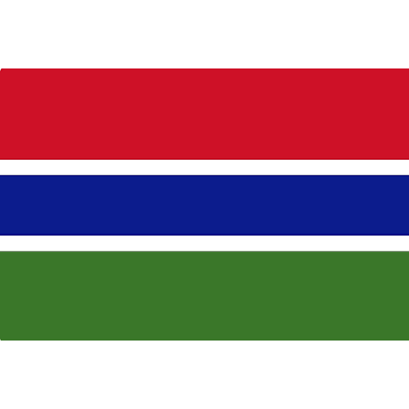 Gambias flag