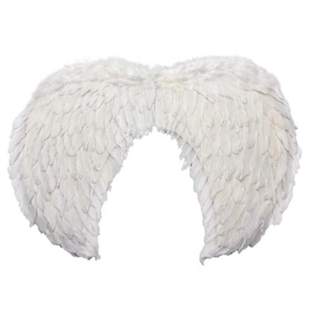 Utklädning Vita Vingar 60 x 44 cm