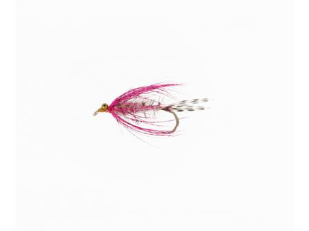 PolarMagnus UV Daiichi 1710 #4