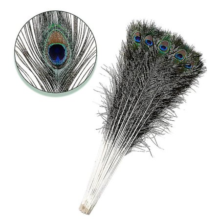 Naturlige store påfuglfjær til dekorasjon Cy