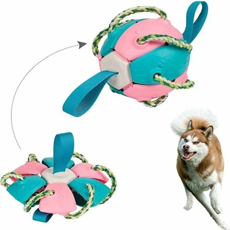 Frisbee-leksak Hund Oödelagbar Agility Boll för Hundar Spela Spel I