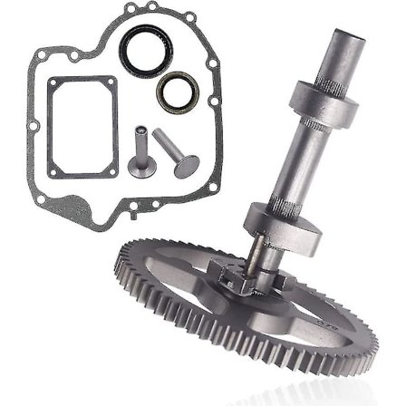 84005207 793880 Kamakselsett Kompatibel Med Briggs & Stratton 84005207 793880 793583 790400 792681 791942 795102 Med 697110 Pakning 690564 Ventil Tapp