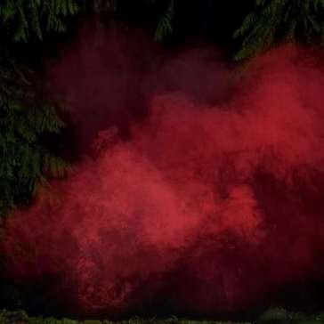 Reaping from the conflux P.A./MIC HULSENBECK