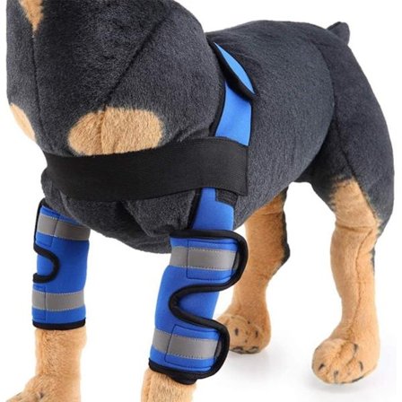 Koira Etujalan Tuki, Kannettava Puristusside Pet Polvituki Koiran Jalan Hiha Suoja, Heijastava Sininen, L
