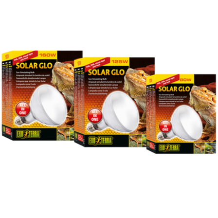 Exoterra - Solar Glo - solsimulerende lyspære svart 125 W - Reptil - Terrariebelysning - UV-lamper for terrarium - ZOO.no