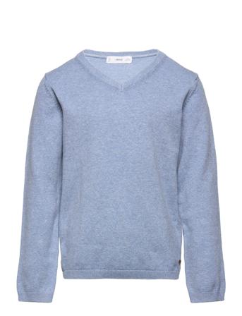 Fede3 Blue Mango