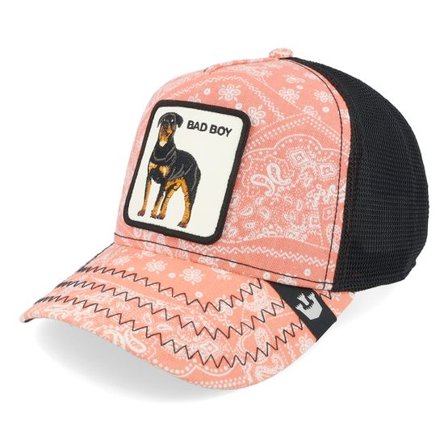 Goorin Bros. - Rosa trucker Keps - Lovesexy Paisley Pink/Black A-Frame Trucker @ Hatstore