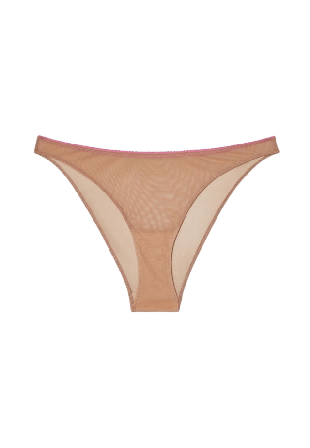 Understatement Mesh Bikini Briefs Trosor Dam Beige XS