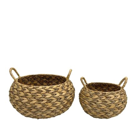 Vandhyacintkurvsæt, 2 stk., 46x46x32 cm