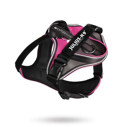 JULIUS-K9 - K9 IDC Longwalk Pink/Grey
