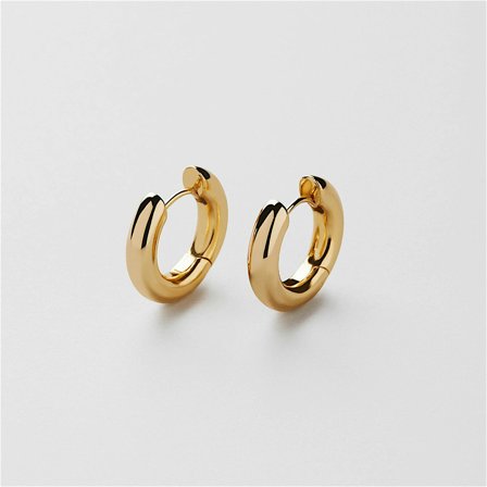 Clean Hoops
