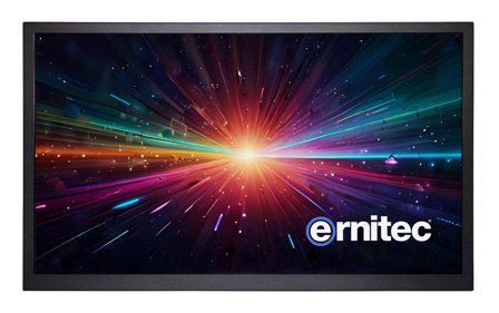 ERNITEC 24" Surveillance monitor for