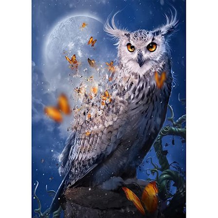 Vuxen och barns uggla diamantmålning set 30 * 40cm, DIY But