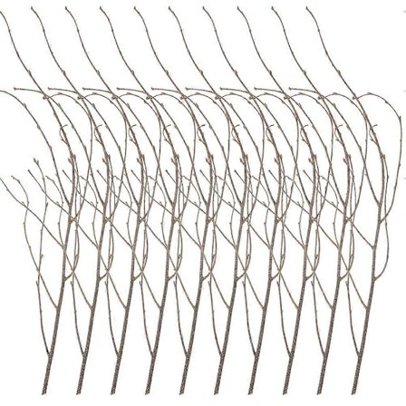 12 stk. naturlige tørkede tregrener DIY bjørkegrener blomsteroppsats gren