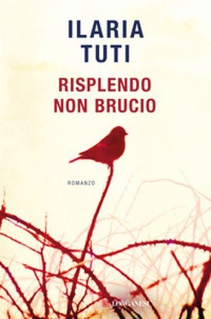 Risplendo non brucio Ilaria Tuti