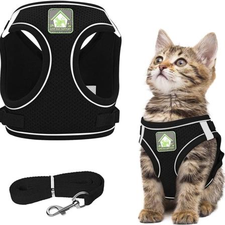 Kattsele og sett for turer og flukt med kobbel, justerbar refleks