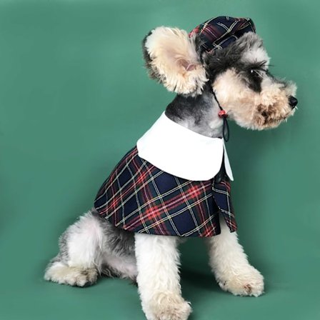 Bitar Hundkläder Hattar Brittisk stil Söt Teddy Schnauzer Pomacy Heights Keji Pet Coak (M: Hals 33cm)
