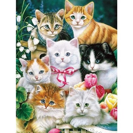 30x40cm Kit#A 5D DIY Diamantmålning, Katt Diamantmålning, Pain[CP]