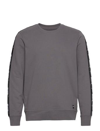 Hco. Guys Sweatshirts Sweatshirt Trøje Grå Hollister