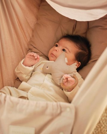 Rangle til baby med en blød, sød fugl på en glat træring | Moonboon