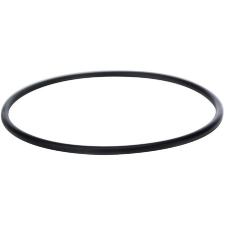 Beulco 0850932000 O-ring til Björn-filter, Vann