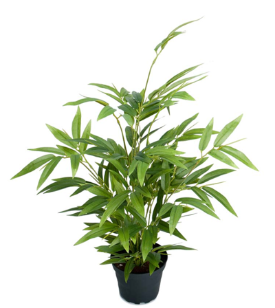 Mr Plant Kunstig Plante Bambus H45cm