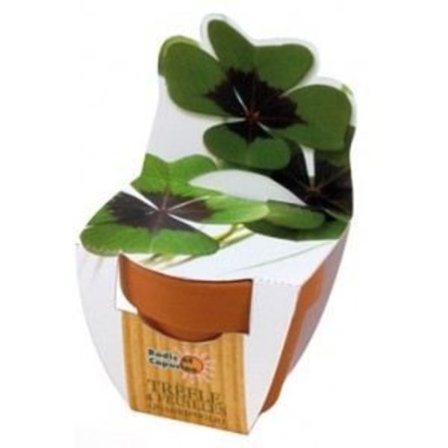 RÄDISOR OCH NATURA - 4-blad klöver kit