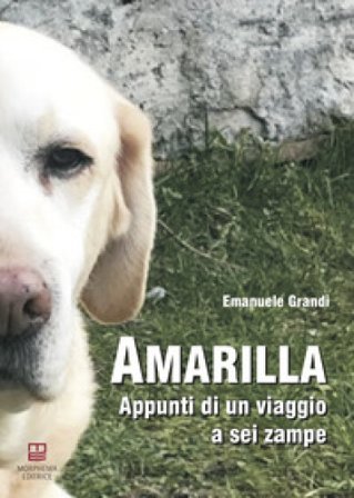 Amarilla. Appunti di un viaggio a sei zampe Emanuele Grandi