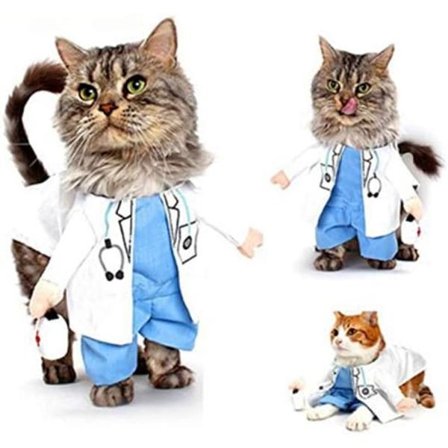 Kæledyrsdragt Hund Kat Cosplay Sygeplejerske Politi Hue til Sui Halloween