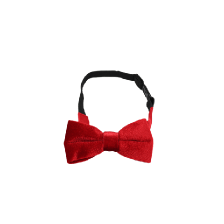 Complement Kids Fluga I Sammetsimitation För Barn Halsdukar Unisex Röd