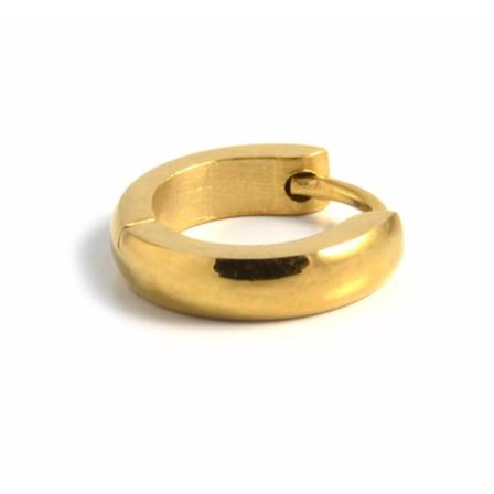 Guldfärgade Stålörhängen Guld