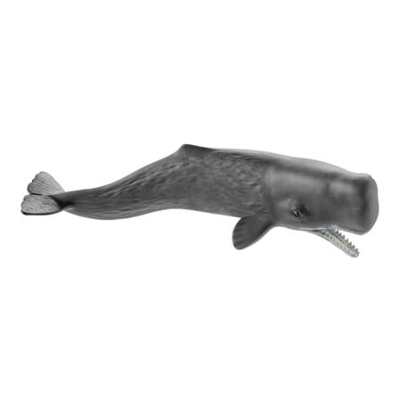 schleich WILD LIFE Kaskelott 14764 - Barn - Leksaker - Figurer