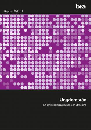 Ungdomsrån : en kartläggning av nuläge och utveckling - Bok - Häfte