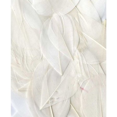 VITA FJÄDRAR - 6 CM