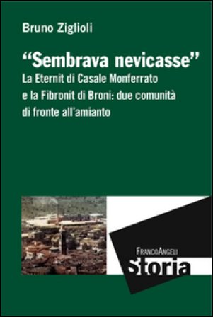 Sembrava nevicasse. La Eternit di Casale Monferrato e la Fibronit di Broni: due comunità di fronte all'amianto Bruno Ziglioli