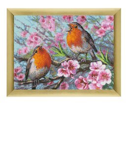 Bild Rotkehlchen - Duftin