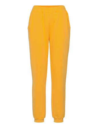 Felizers Pant Yellow Résumé