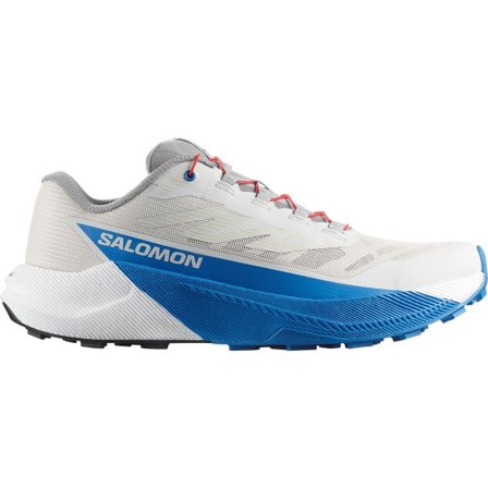 Salomon - Chaussures de trail running pour homme Pulsar - Lunar Rock / White / French Blue - 43⅓
