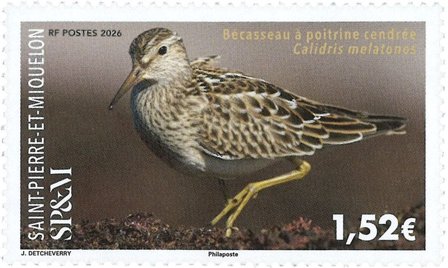 St. Pierre & Miquelon - Fugl - Postfrisk frimærke