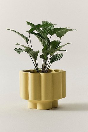 Jotex - Solid Kruka Gul SIGFRID - Köp Krukor hos Jotex