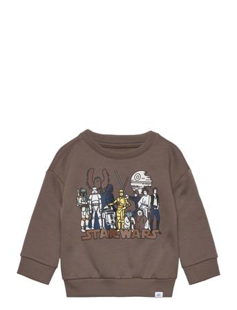 Babygap | Star Wars Graphic Sweatshirt Brown GAP