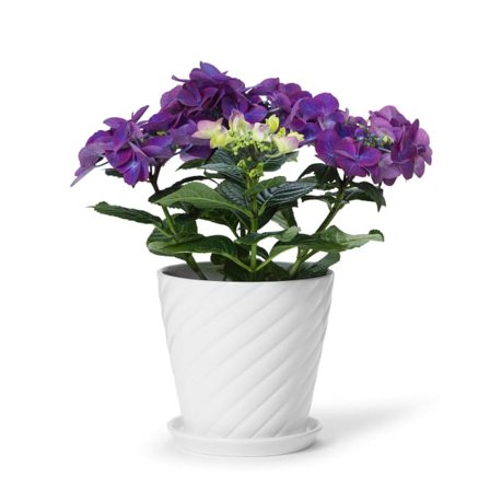 In Flore Sigrid Blomkruka Och Fat Krukor & vaser Vit