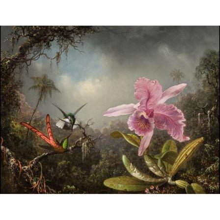 Orchid With Two Hummingbirds, 1871, Martin Johnson Heade Brun