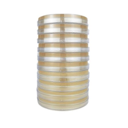 Petriskål til svampekultur med kartoffel-dextrose-agar